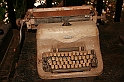 Kanary_2010 144